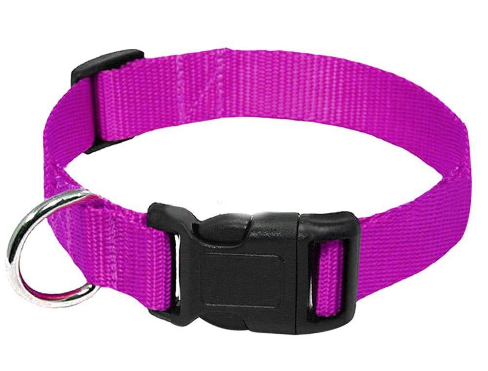 KFX-6084157 Durable Nylon Dog Collar Leash in Blue, Black, Red, and Purple Options