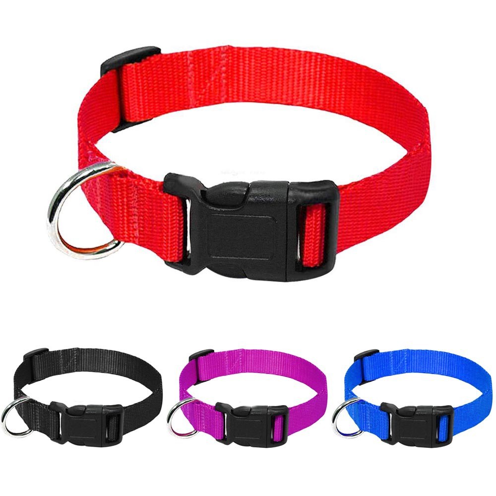 KFX-6084157 Durable Nylon Dog Collar Leash in Blue, Black, Red, and Purple Options