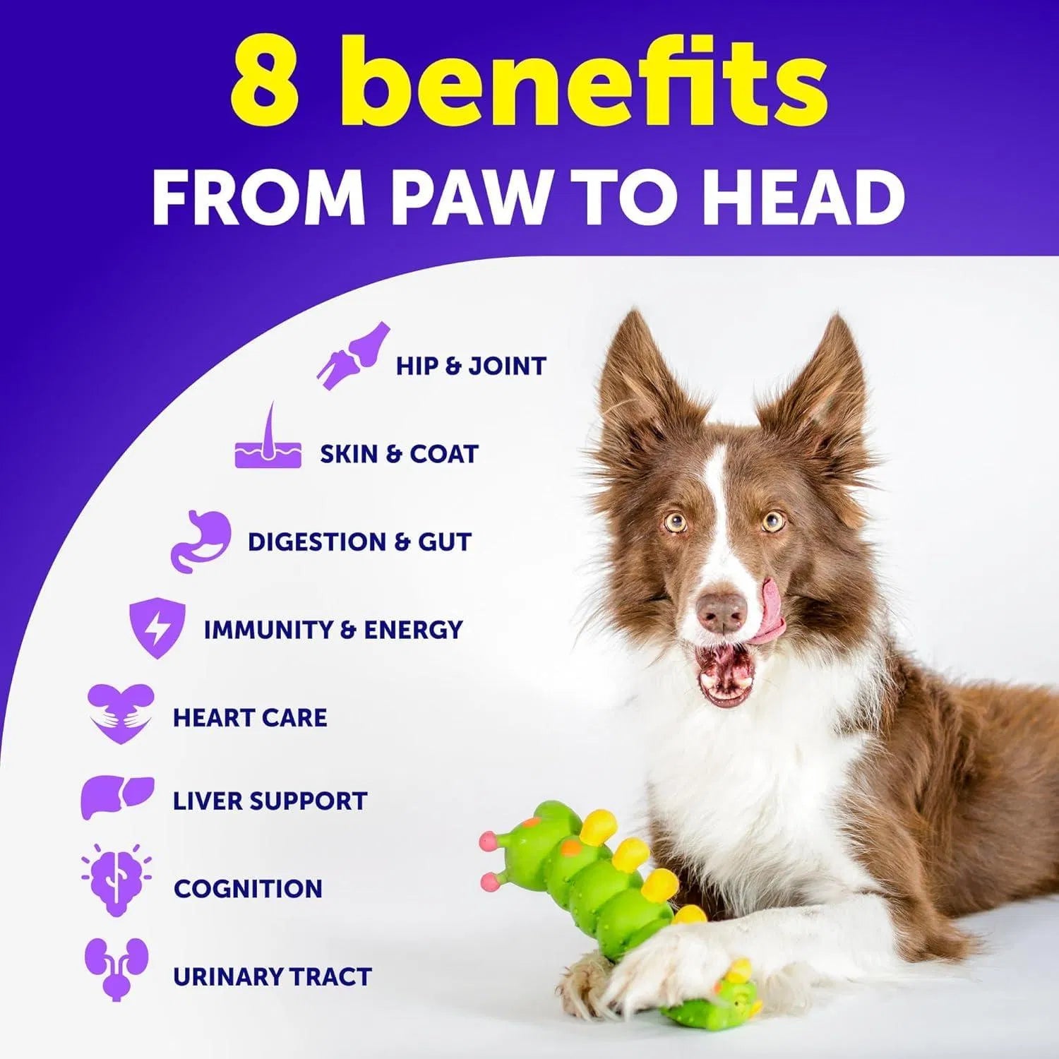KFX-6090173 20-in-1 Dog Multivitamin Chews with Glucosamine for Joint Health, Gut Support, and Skin Care - Suitable for All Dogs