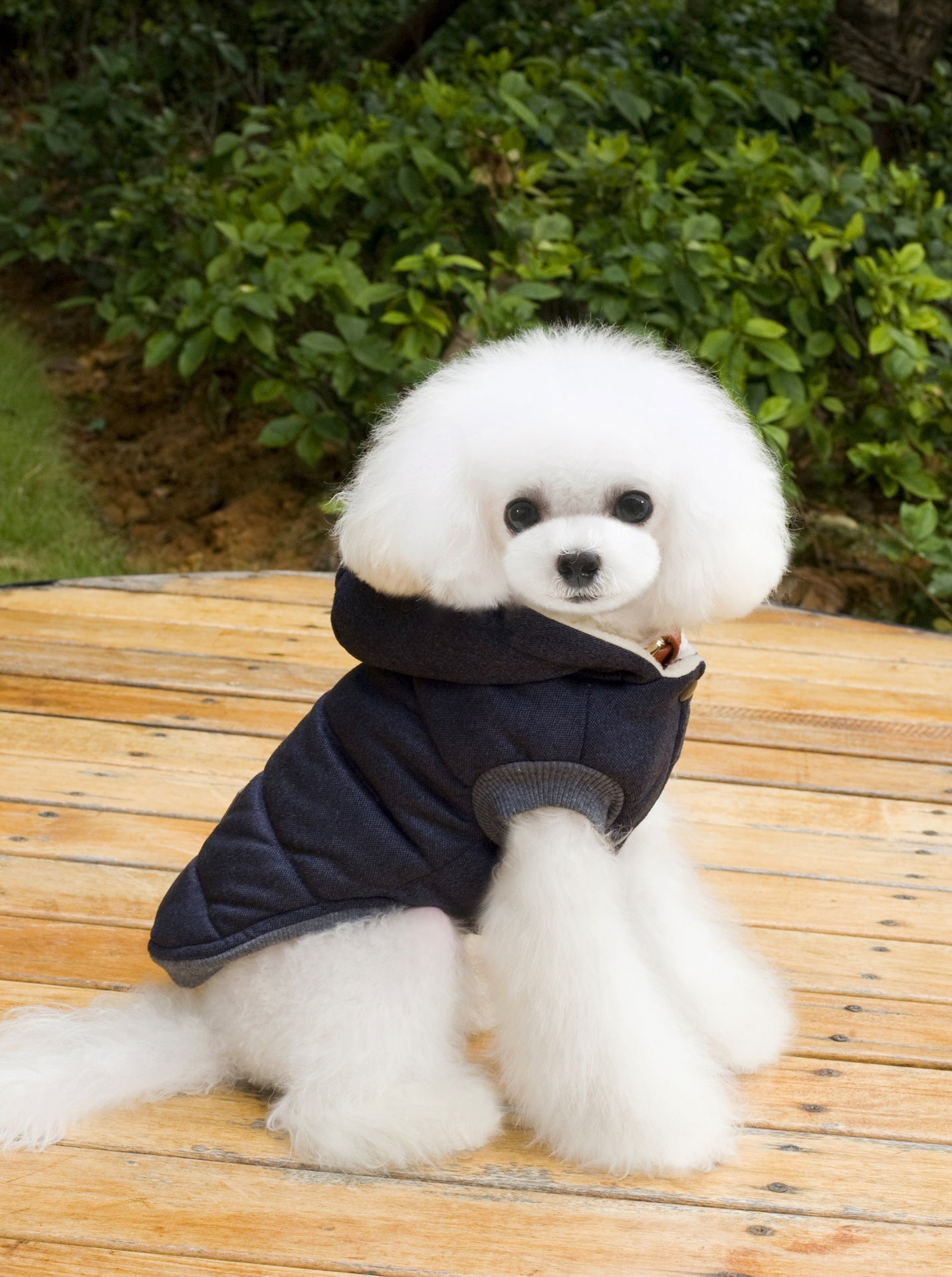 KFX-6094525 Cozy Cotton-Padded Clothing for Pets - Casual Two-Leg Design in Dark Colors