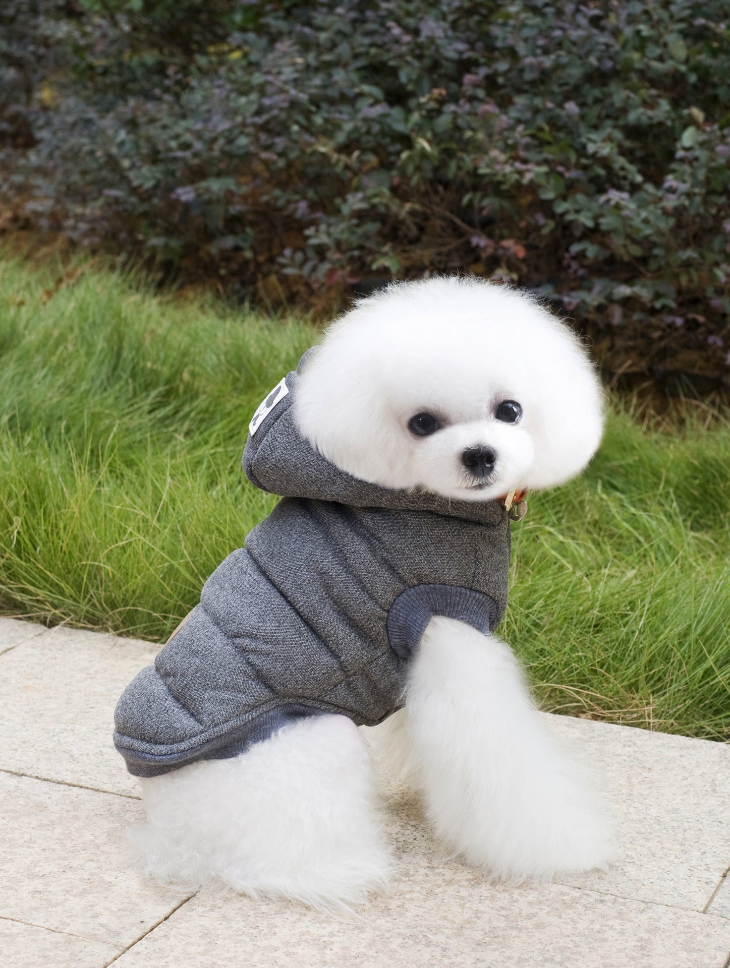 KFX-6094525 Cozy Cotton-Padded Clothing for Pets - Casual Two-Leg Design in Dark Colors