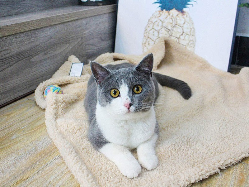KFX-6096701 Cozy Plush Pet Blanket for Dogs and Cats - Various Sizes Available