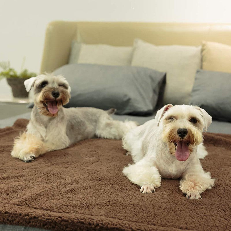 KFX-6096701 Cozy Plush Pet Blanket for Dogs and Cats - Various Sizes Available