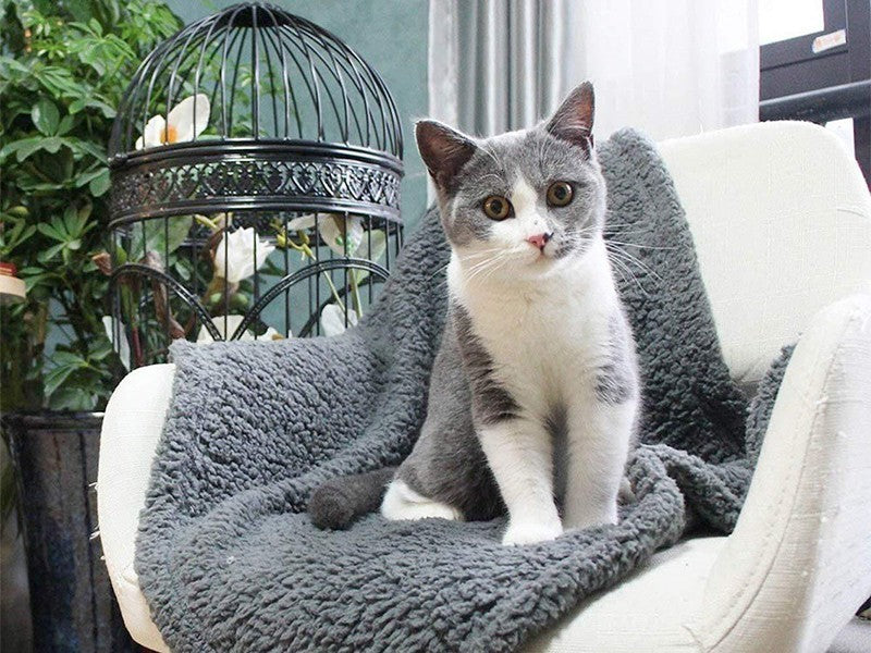 KFX-6096701 Cozy Plush Pet Blanket for Dogs and Cats - Various Sizes Available