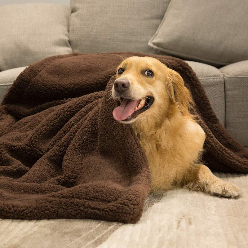 KFX-6096701 Cozy Plush Pet Blanket for Dogs and Cats - Various Sizes Available