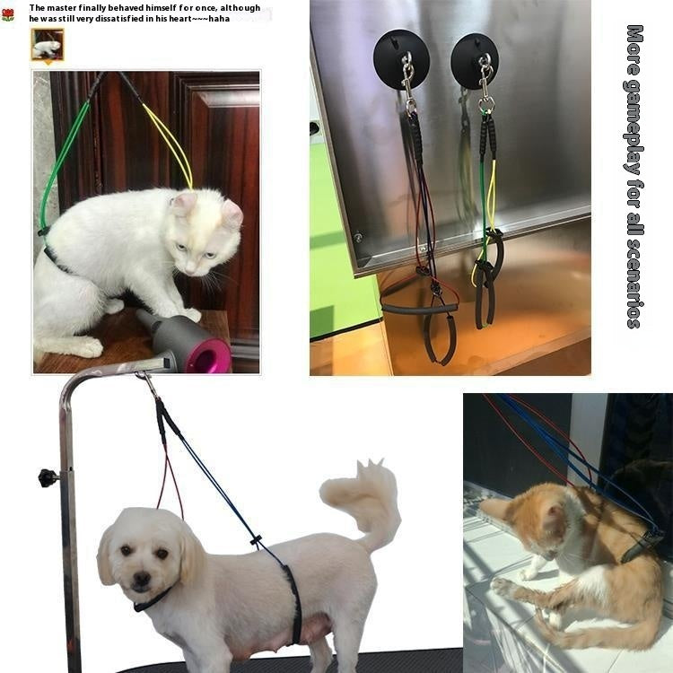 KFX-6099645 Pet Bath Steel Wire Rope with Suction Cup – Single and Double Options Available