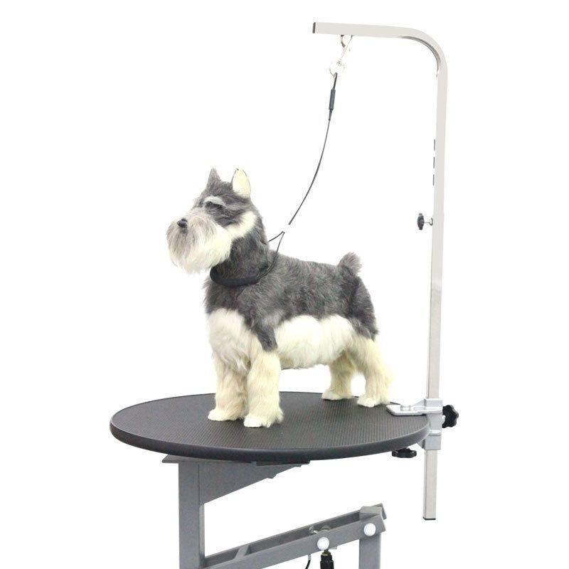 KFX-6099645 Pet Bath Steel Wire Rope with Suction Cup – Single and Double Options Available