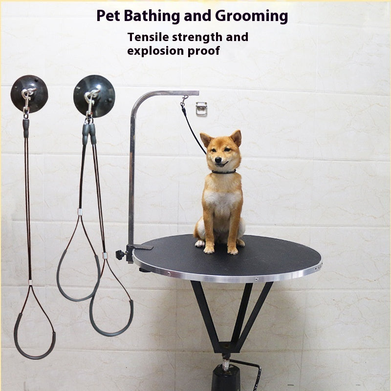 KFX-6099645 Pet Bath Steel Wire Rope with Suction Cup – Single and Double Options Available