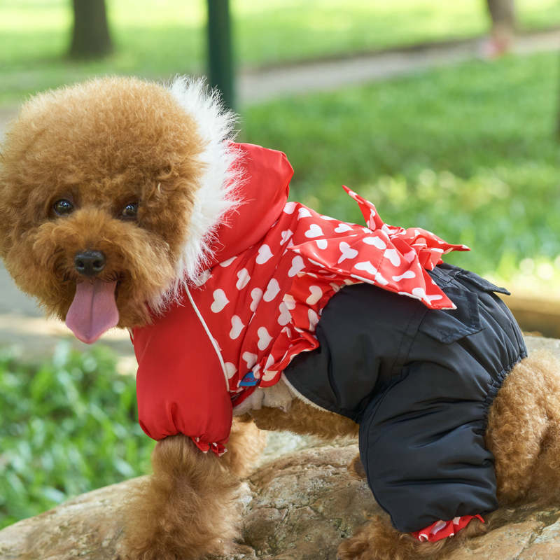 KFX-6100413 Thickened Red Winter Clothes for Four-Legged Pets - Sizes 8 to 16 Available
