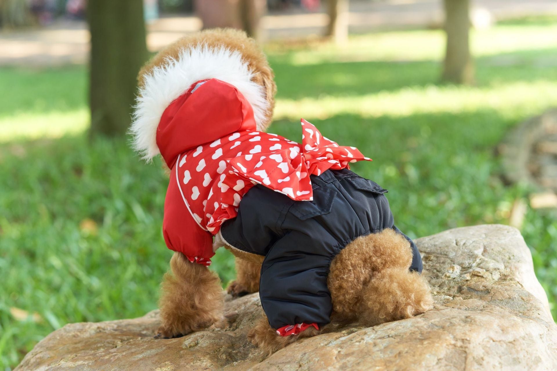 KFX-6100413 Thickened Red Winter Clothes for Four-Legged Pets - Sizes 8 to 16 Available