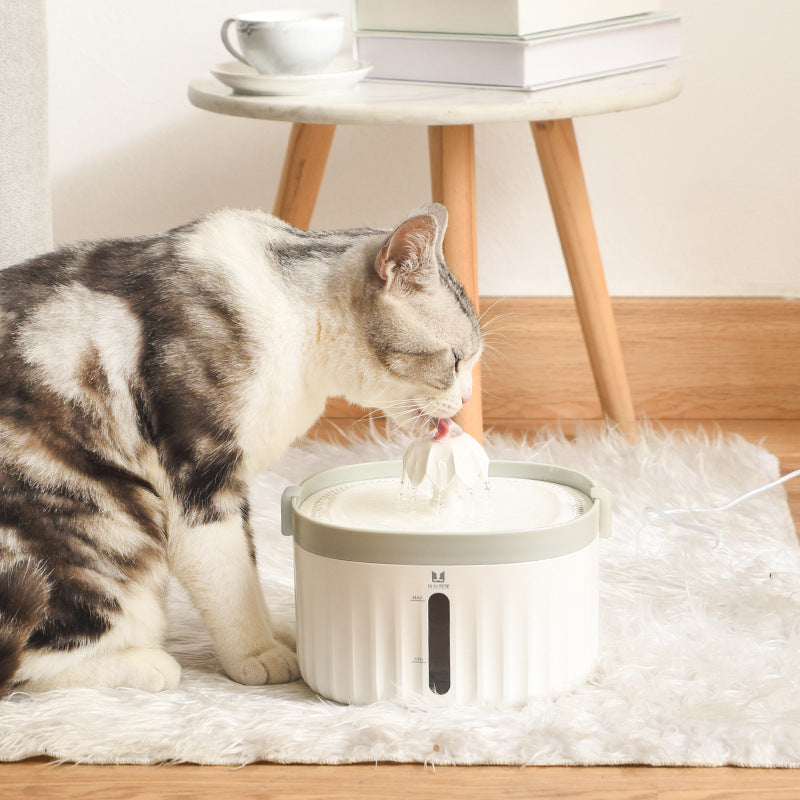 KFX-6101693 Automatic Cat Water Dispenser with Removable Filter and Power Cut Protection