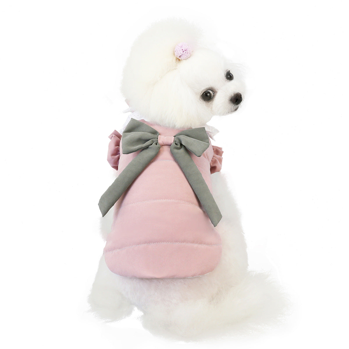 KFX-6102205 Lace Collar Casual Winter Vest for Pets in Purple and Pink, Two-Legged Cotton Apparel