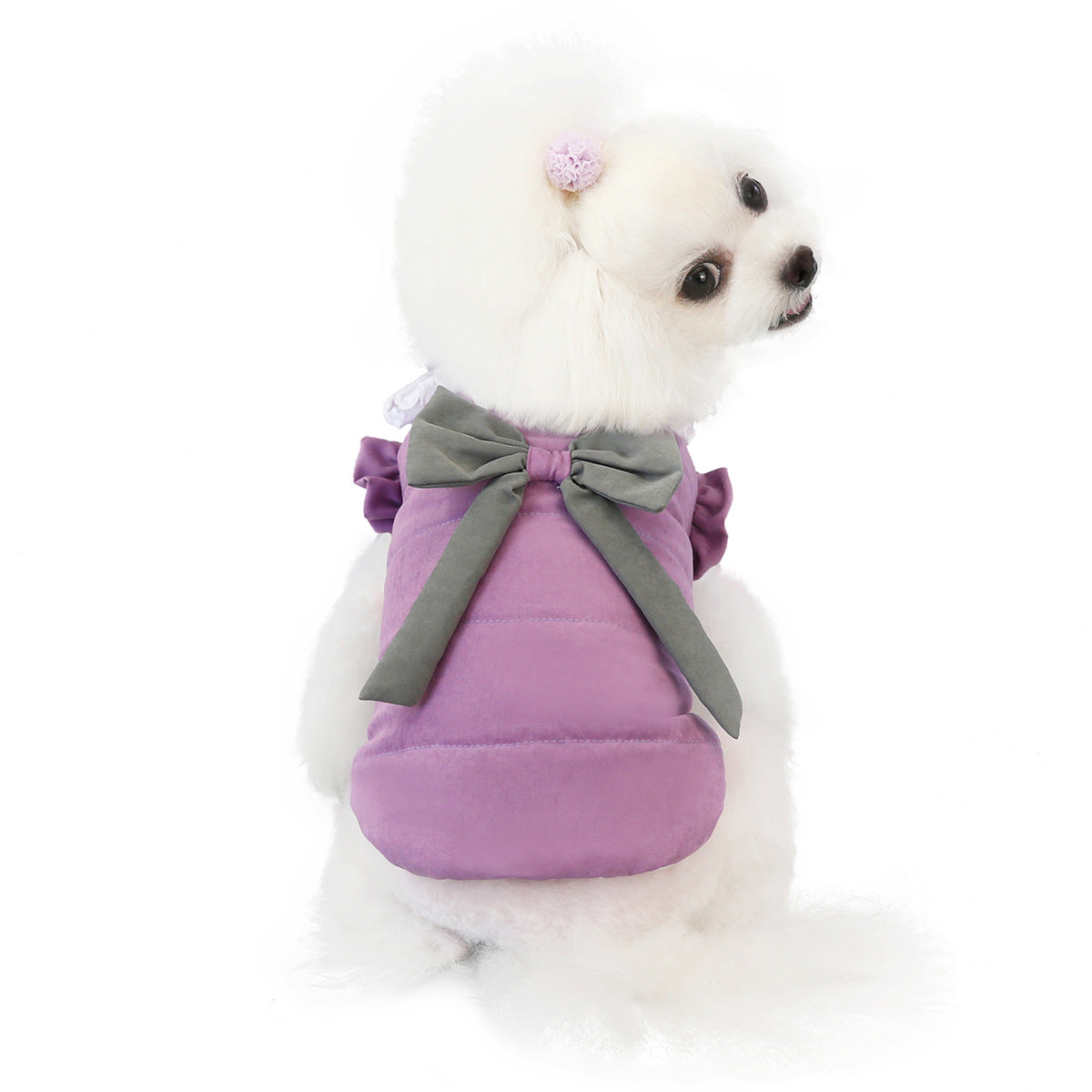 KFX-6102205 Lace Collar Casual Winter Vest for Pets in Purple and Pink, Two-Legged Cotton Apparel