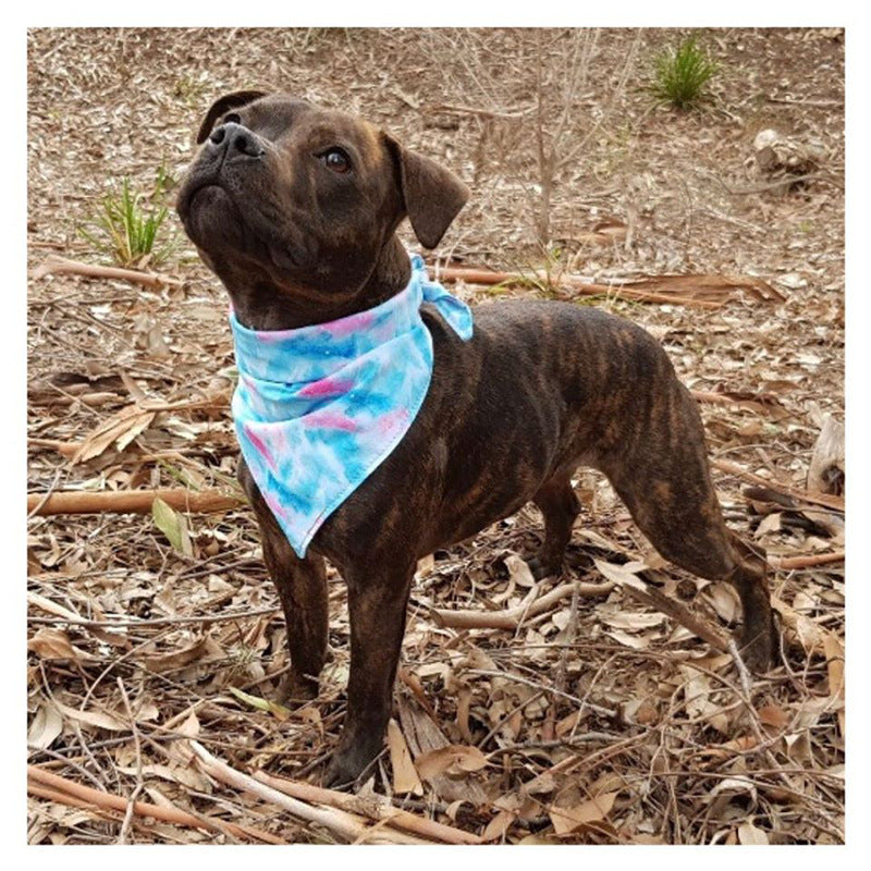 KFX-6103229 Double Printed Cotton Triangle Scarf for Dogs - Available in Three Sizes