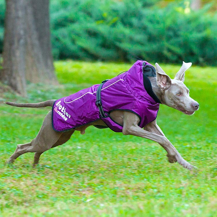 KFX-6103997 Waterproof and Reflective Nylon Pet Rain Jacket for Outdoor Use