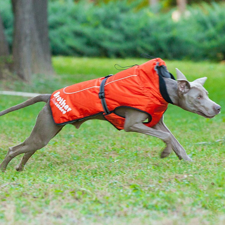 KFX-6103997 Waterproof and Reflective Nylon Pet Rain Jacket for Outdoor Use