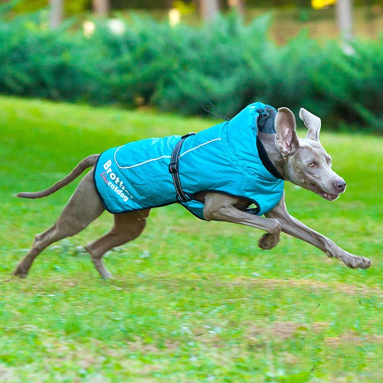 KFX-6103997 Waterproof and Reflective Nylon Pet Rain Jacket for Outdoor Use