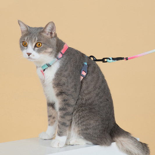KFX-6111165 Fashion Cat Leash with Polyester Cotton Material - Size S and M Available in Multiple Colors