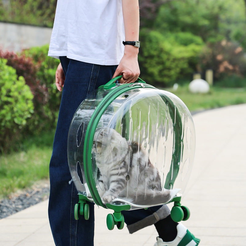 KFX-6113597 Transparent Portable Trolley Case for Cats and Small Dogs – Reinforced PC and Aluminum Alloy, Hard Shell Design