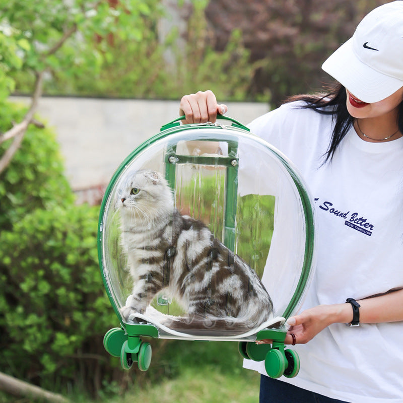KFX-6113597 Transparent Portable Trolley Case for Cats and Small Dogs – Reinforced PC and Aluminum Alloy, Hard Shell Design