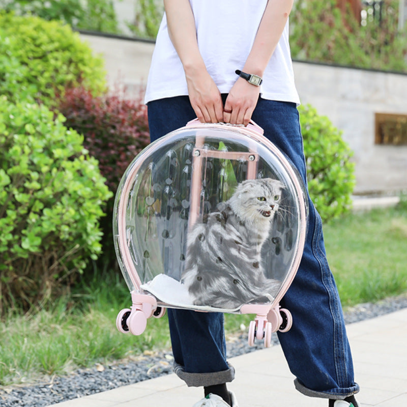 KFX-6113597 Transparent Portable Trolley Case for Cats and Small Dogs – Reinforced PC and Aluminum Alloy, Hard Shell Design
