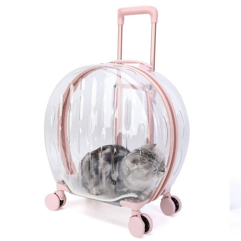 KFX-6113597 Transparent Portable Trolley Case for Cats and Small Dogs – Reinforced PC and Aluminum Alloy, Hard Shell Design