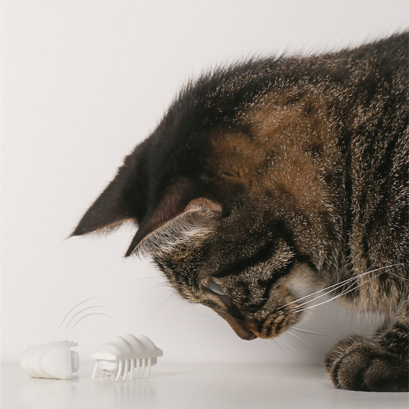 KFX-6114621 Interactive Little Snow Electric Toy Cat Puzzle - Engaging Pet Activity Throwing Toy