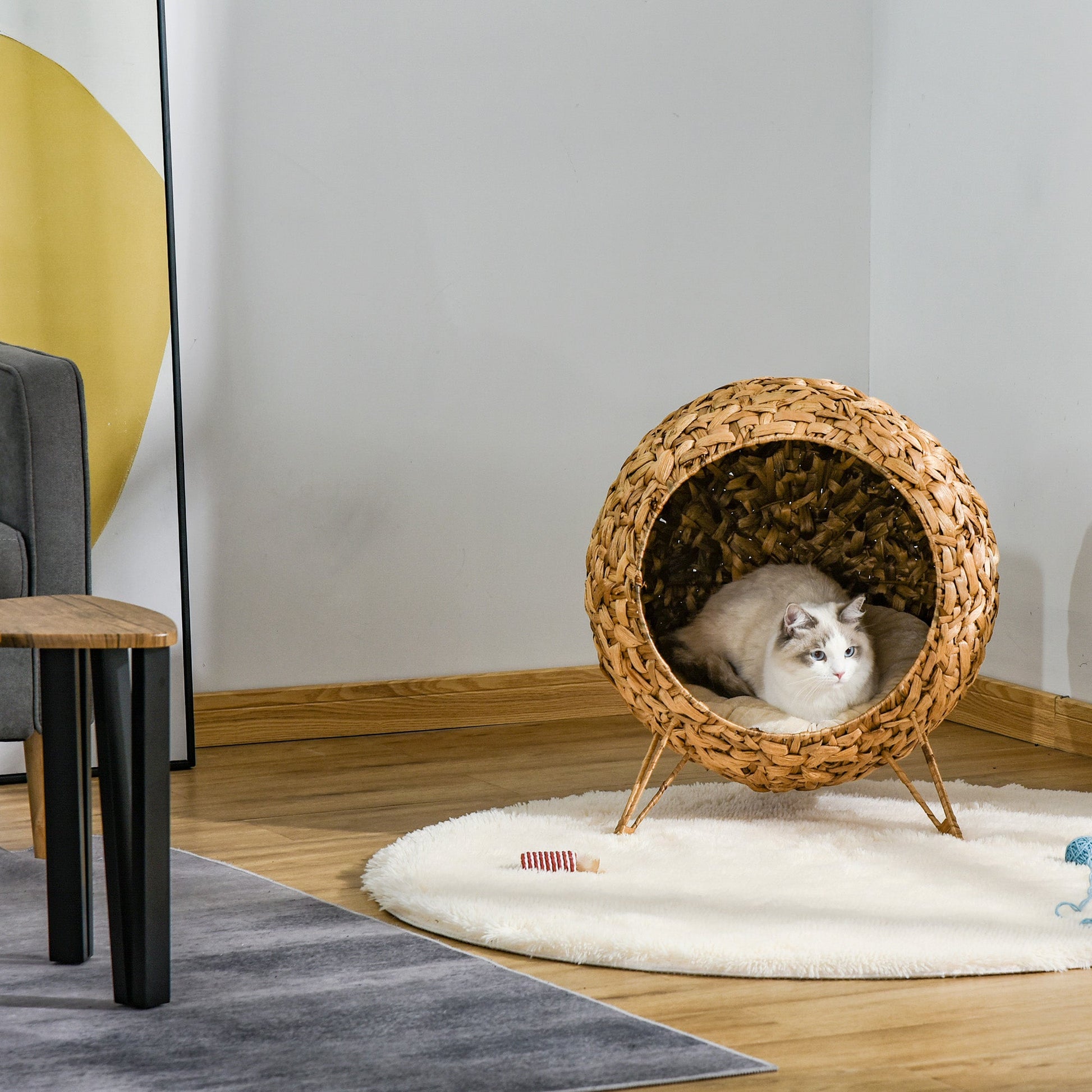 KFX-6115773 Woven Rattan Cat Bed with Cushion and Elevated Design for Cats Up to 11 lbs