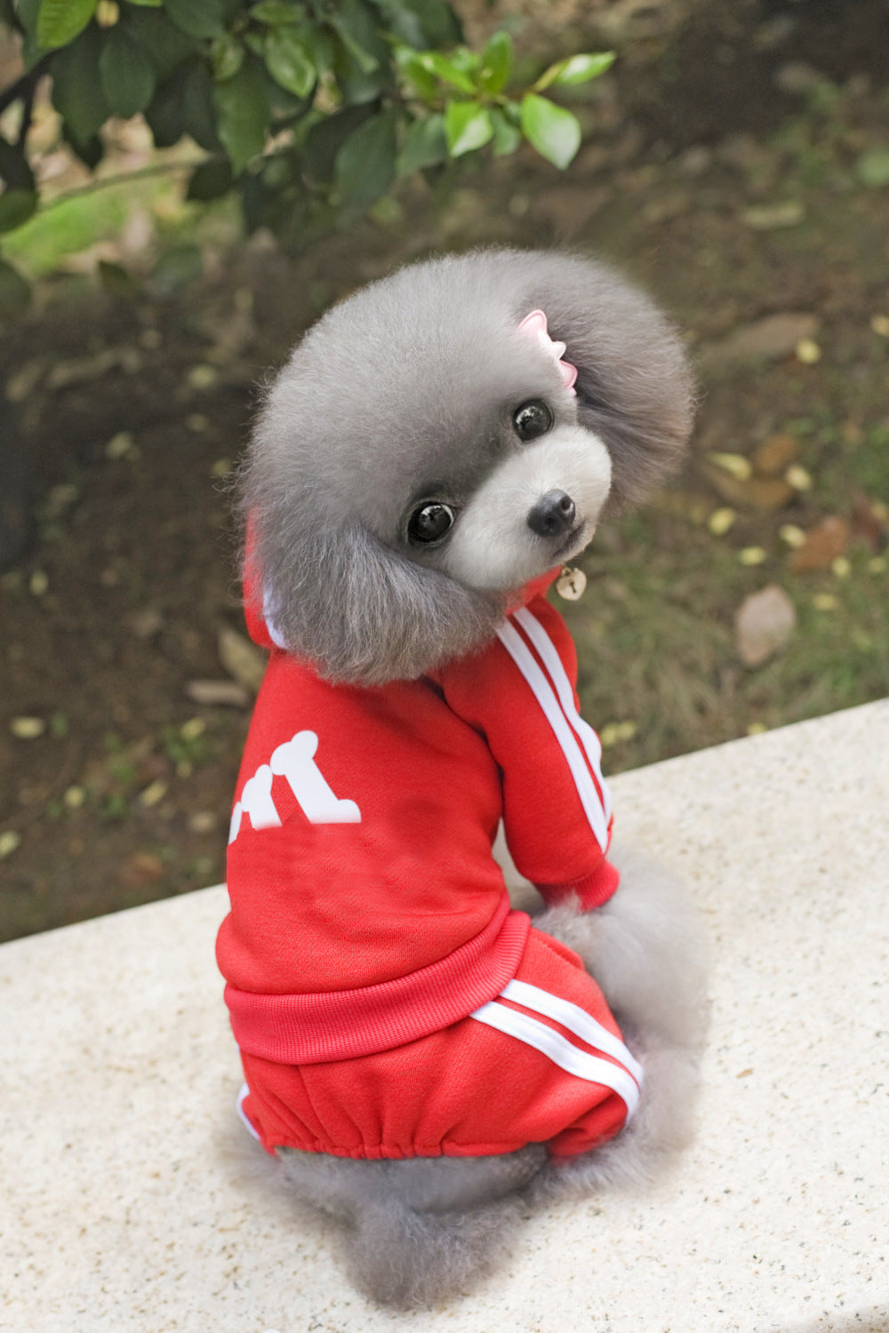 KFX-6121277 Cozy Cotton Dog Hoodie with Size Options for Pets