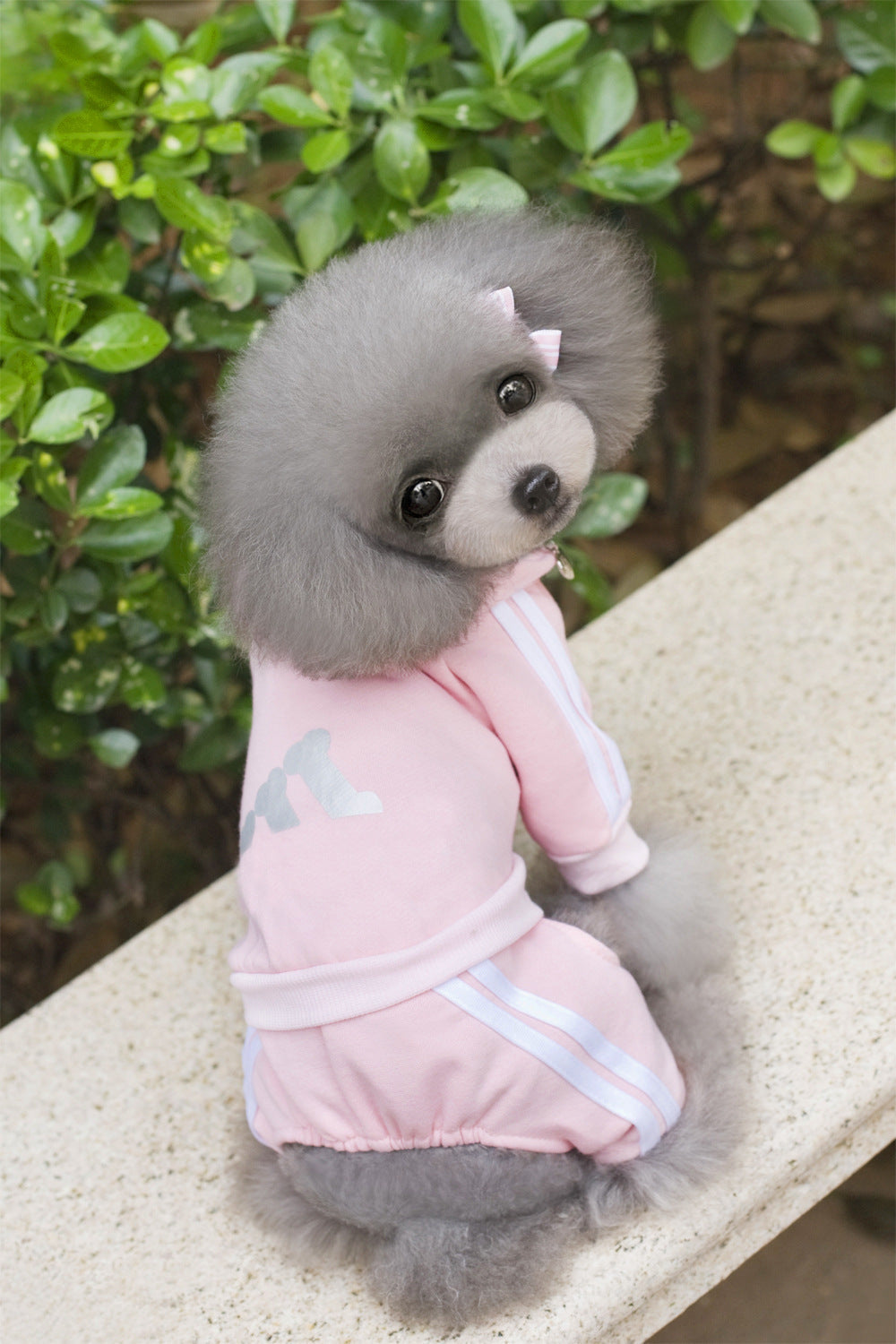 KFX-6121277 Cozy Cotton Dog Hoodie with Size Options for Pets