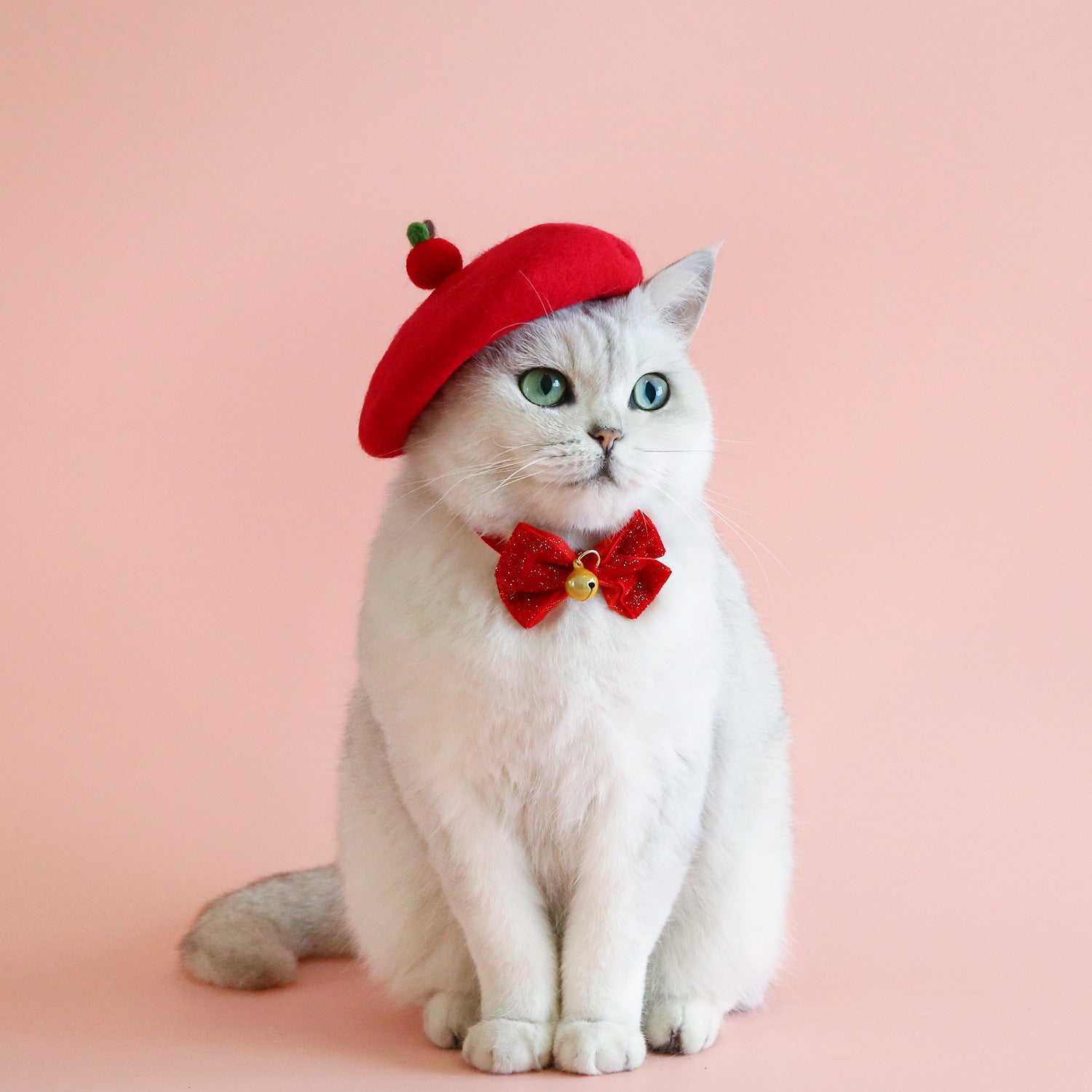 KFX-6121917 Princess Style Pet Wool Cartoon Hats for Winter - Multiple Colors Available