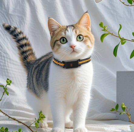 KFX-6122557 Pet Global Positioning Tracking Collar - ABS Material, Black and Green Options
