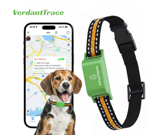 KFX-6122557 Pet Global Positioning Tracking Collar - ABS Material, Black and Green Options