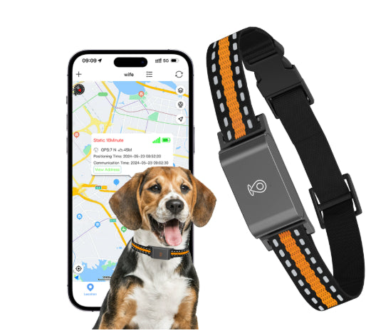KFX-6122557 Pet Global Positioning Tracking Collar - ABS Material, Black and Green Options