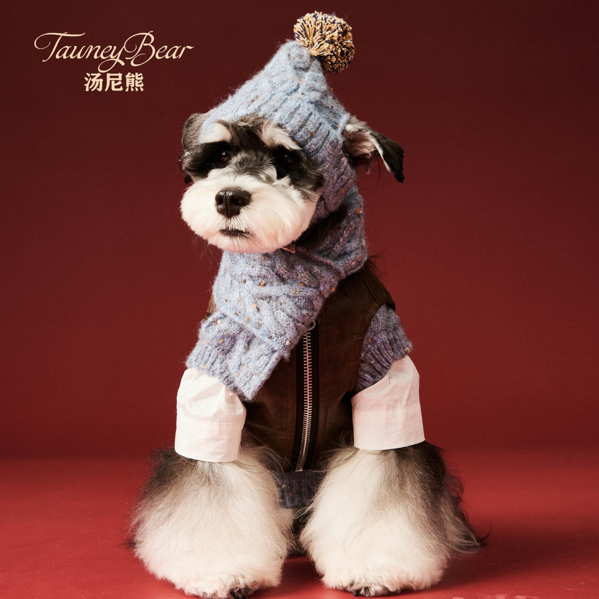 KFX-6122685 Wool Winter Hat and Scarf Set for Small to Medium Dogs