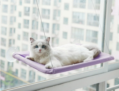 KFX-6124477 Blue Cat Suction Cup Hanging Hammock with Soft Chair and Cozy Accessories for Sunbathing