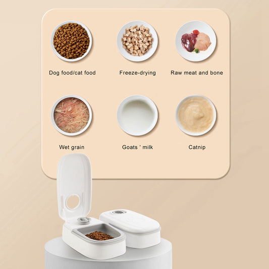 KFX-6126653 Automatic Pet Feeder with Water Dispenser - Stainless Steel Feeder for Cats and Dogs, Two Meal Options