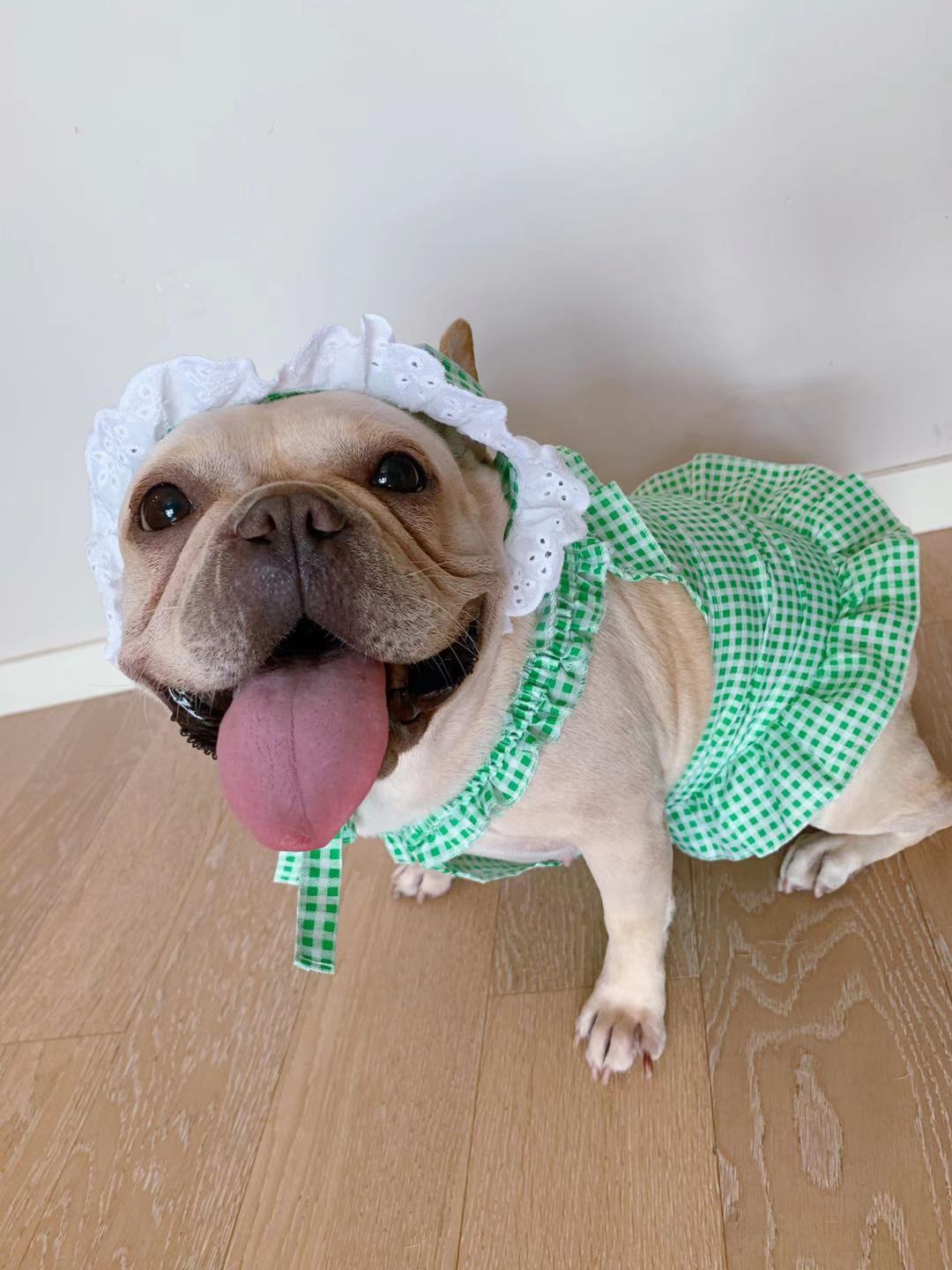 KFX-6130237 Creative Plaid Dog Dress Set for All Breeds - Blue and Green - Sizes XS to XXL