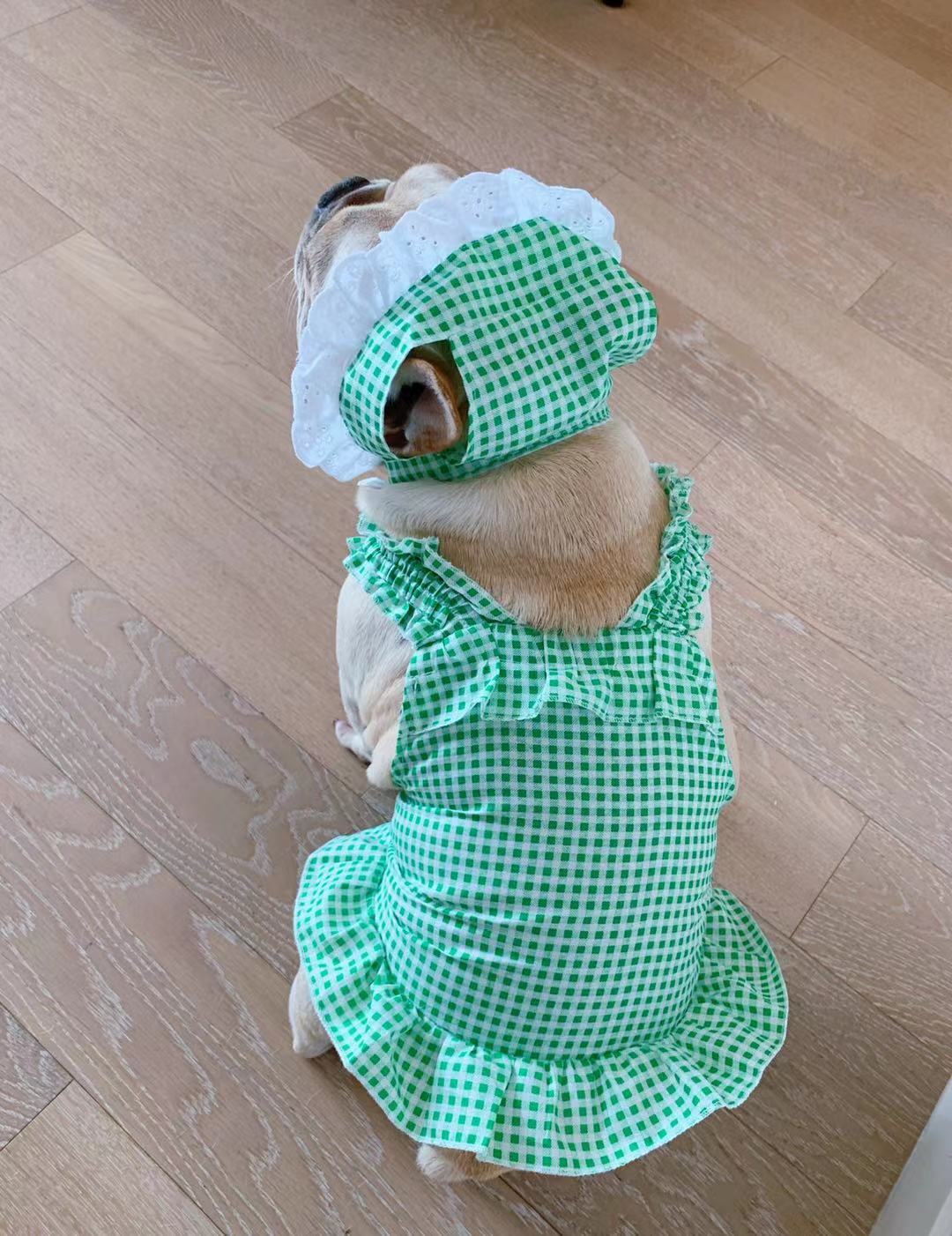 KFX-6130237 Creative Plaid Dog Dress Set for All Breeds - Blue and Green - Sizes XS to XXL