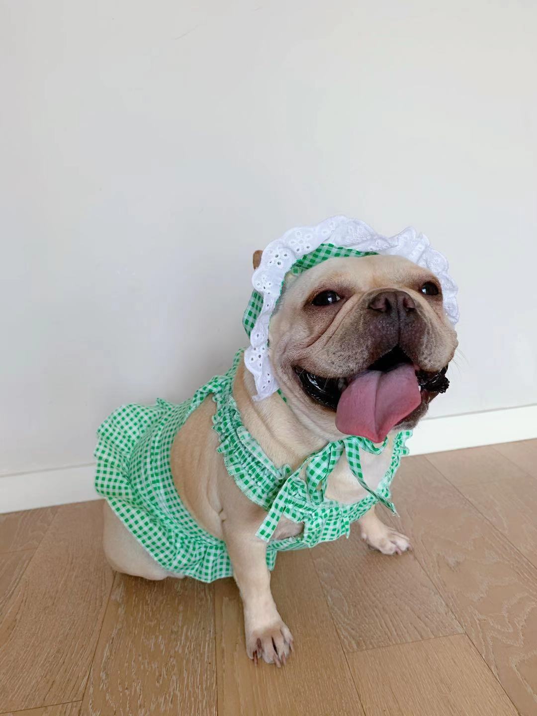 KFX-6130237 Creative Plaid Dog Dress Set for All Breeds - Blue and Green - Sizes XS to XXL