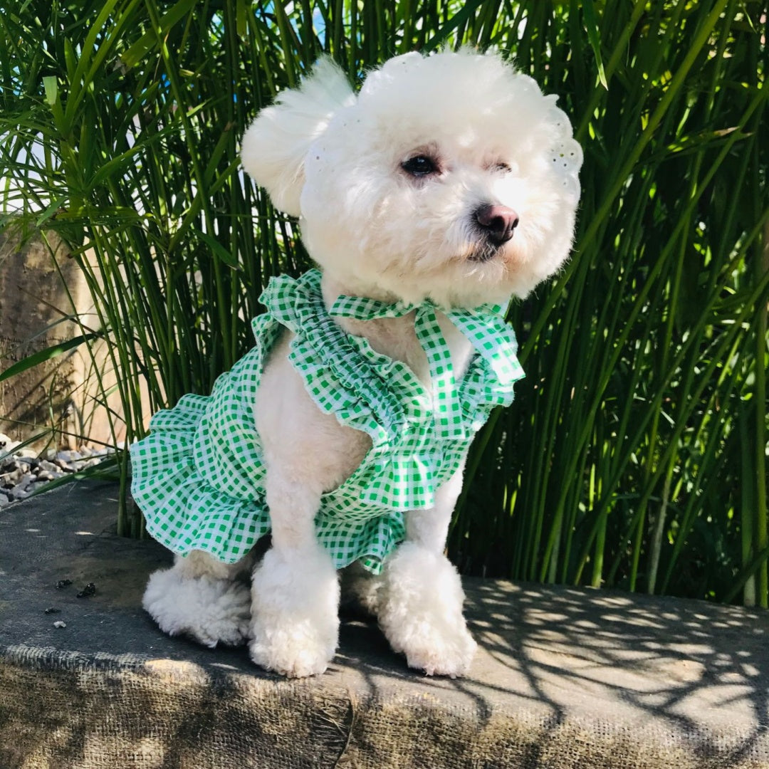 KFX-6130237 Creative Plaid Dog Dress Set for All Breeds - Blue and Green - Sizes XS to XXL