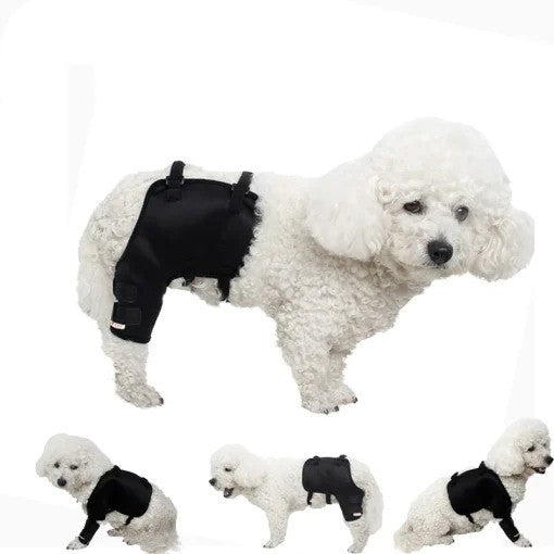 KFX-6137661 Pet Knee and Leg Guards for Dogs - Outdoor Arthritis Support, Adjustable Sizing Available