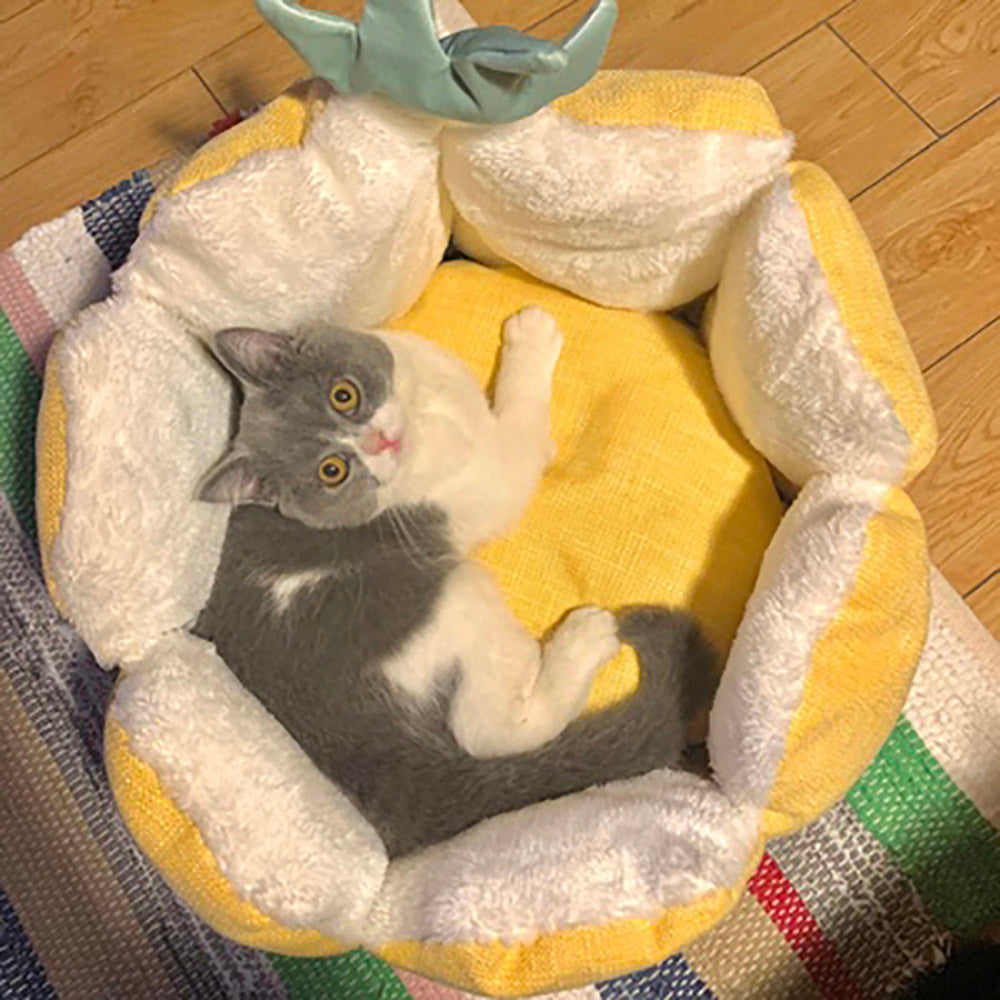 KFX-6138429 Warm Fabric Cat Bed with Soft Flannel Filling for Pets Up to 5 kg, Four Seasons Use