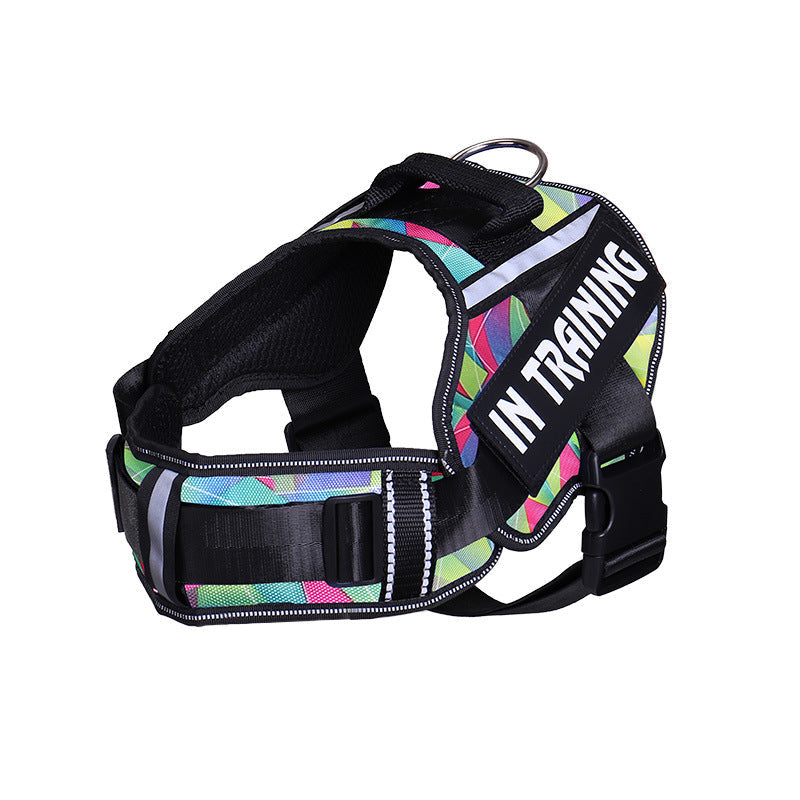 KFX-6140221 Reflective Nylon Dog Leash with Chest Harness Customization Options