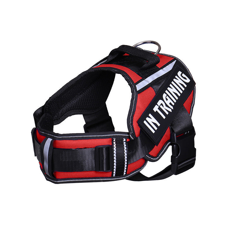 KFX-6140221 Reflective Nylon Dog Leash with Chest Harness Customization Options