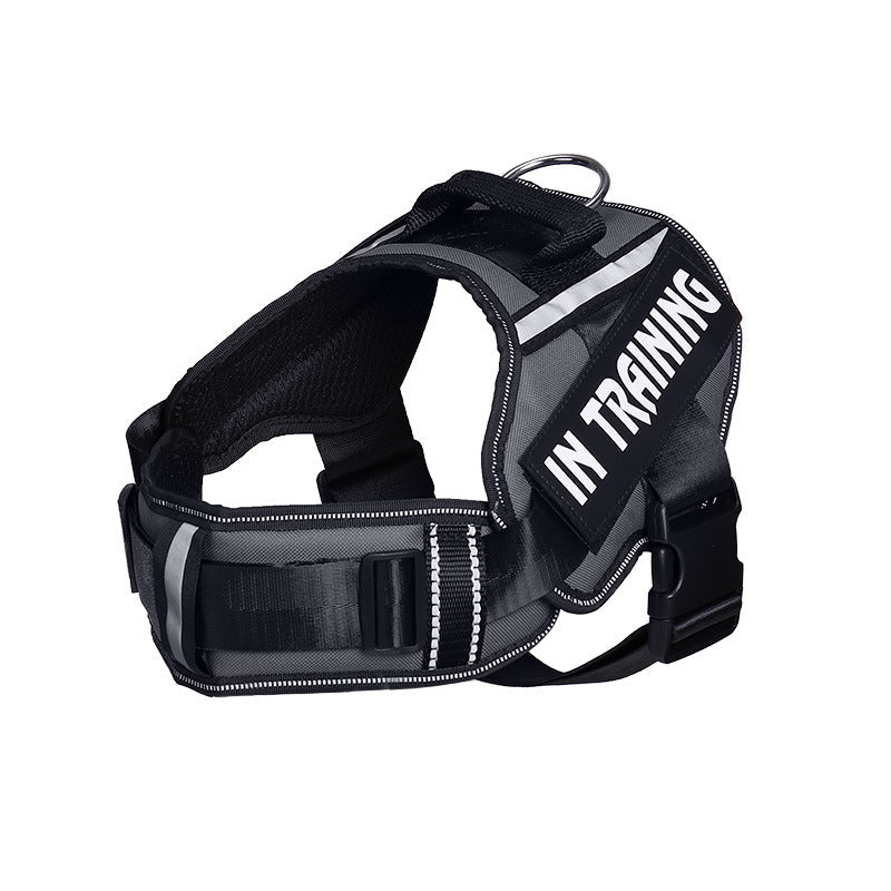 KFX-6140221 Reflective Nylon Dog Leash with Chest Harness Customization Options