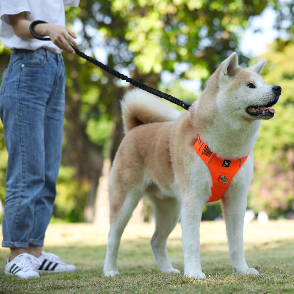 KFX-6143421 Durable Oxford Cloth Dog Chest Strap with Vertical Handle and Reflective Edges