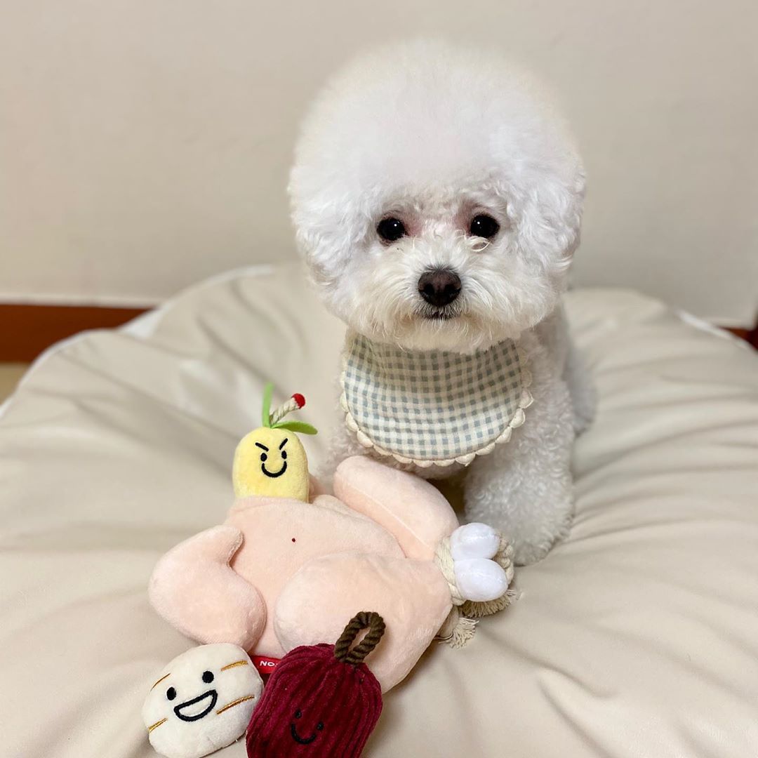 KFX-6150717 Interactive Plush Chicken Soup Toy for Dogs with Sound - Sniff and Play Pet Enrichment