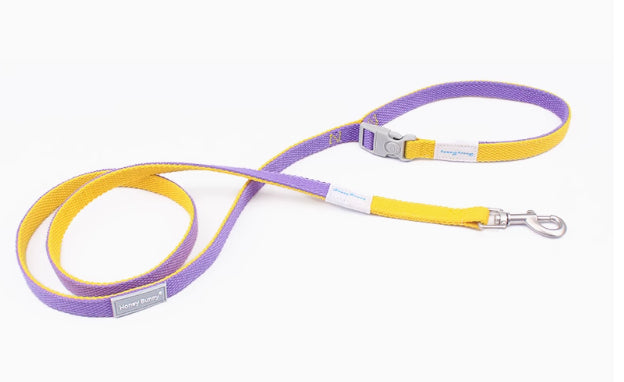 KFX-6157629 Colorful Adjustable Collar and Leash Set with Free Bell for Dogs
