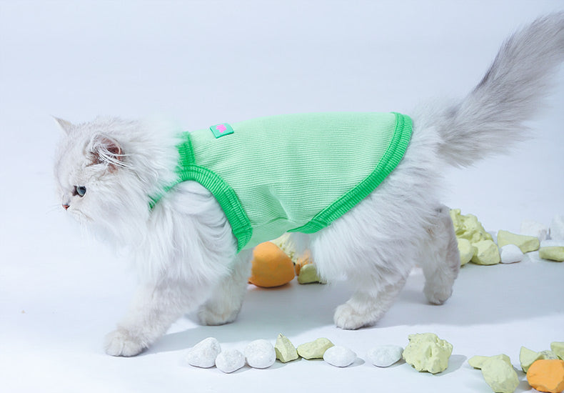 KFX-6161213 Summer Pet Vest in Fashion Color Contrasts - Blue/Purple and Blue/Yellow, Various Sizes for Your Kitty